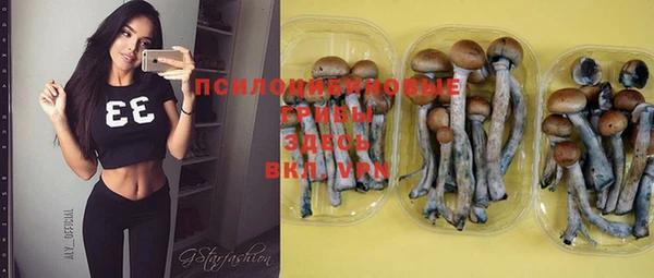 крисы Аркадак