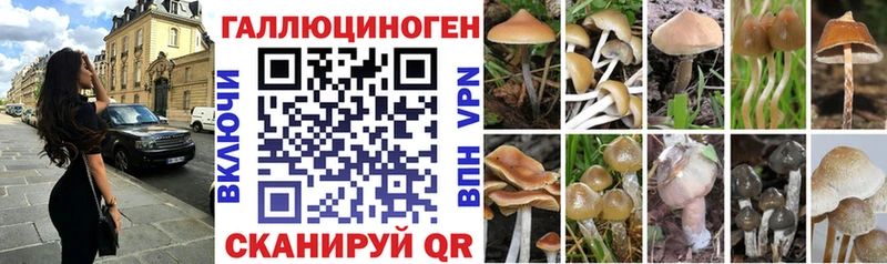 Купить закладки  Гуково  Псилоцибиновые грибы Magic Shrooms 