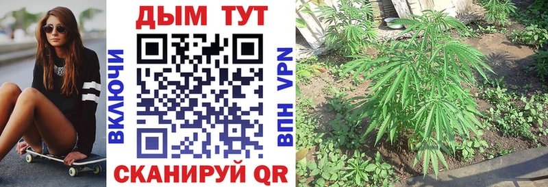 Купить где  Гуково  Бошки марихуана Ganja 